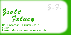 zsolt falusy business card
